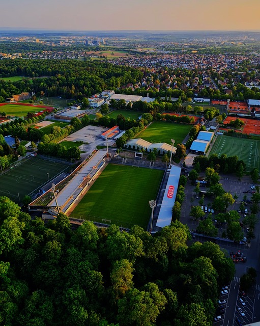 年日本的鹿 年日本的鹿